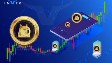 معرفی 3 روش استخراج دوج کوین