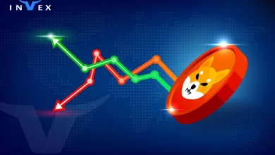 پیش بینی آینده ارز شیبا اینو