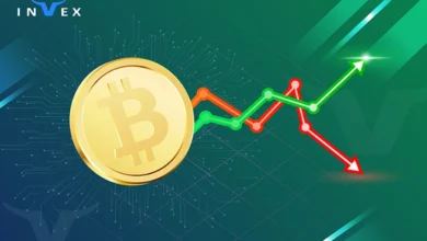 پیش بینی آینده بیت کوین کش تا سال 2025