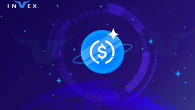 ارز یو اس دی کوین چیست
