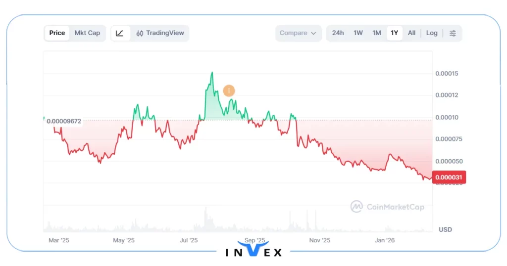 فلوکی (FLOKI): یک ارز آینده دار ارزان با پتانسیل کاربردی
