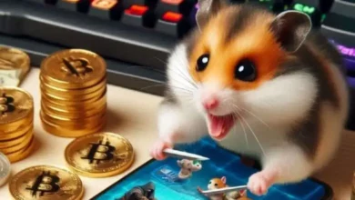 چرا همستر به کیف پول وصل نمیشه