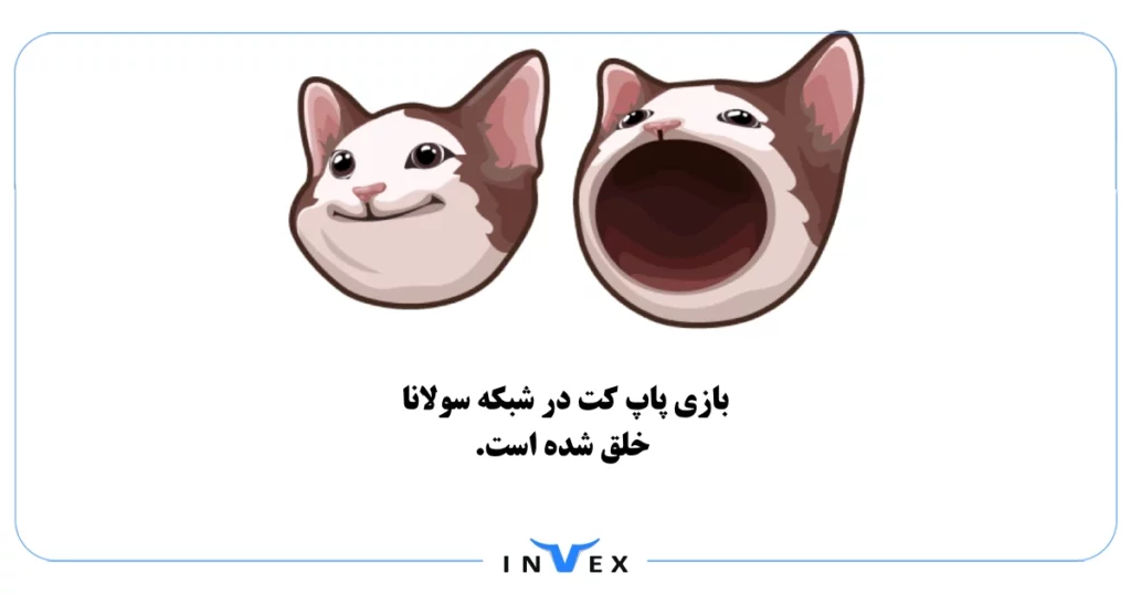 بازی پاپ کت چیست