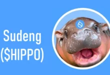 آینده ارز hippo​