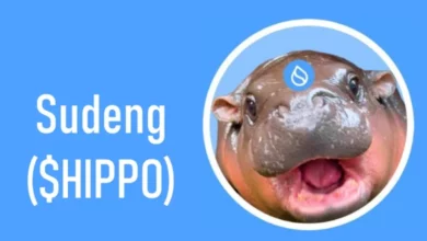 آینده ارز hippo​