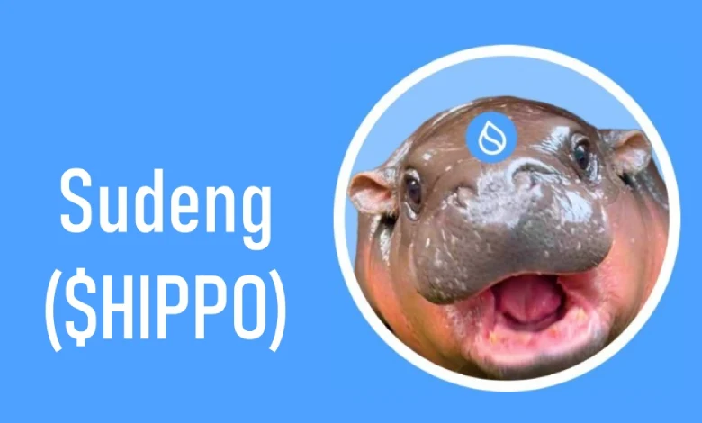 آینده ارز hippo