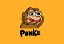 آینده ارز ponke
