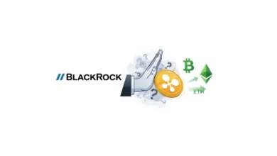 بلک راک از راه‌اندازی ETF توکن XRP اجتناب می‌کند