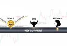 واچ لیست این هفته 2 آذر