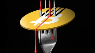 بررسی فورک بیت کوین چیست