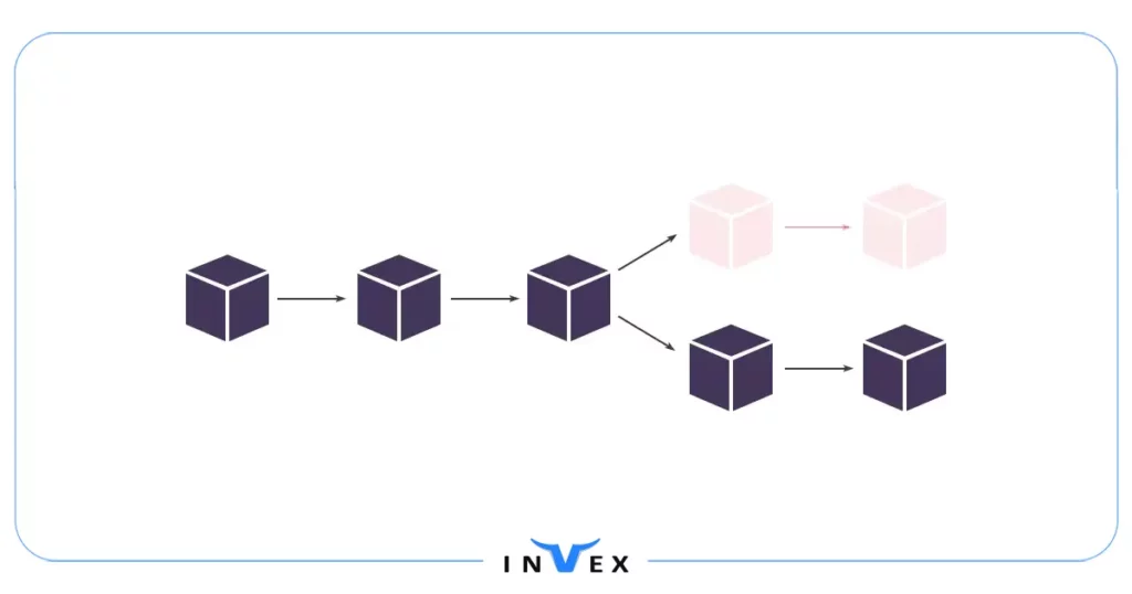 فورک بیت کوین چیست